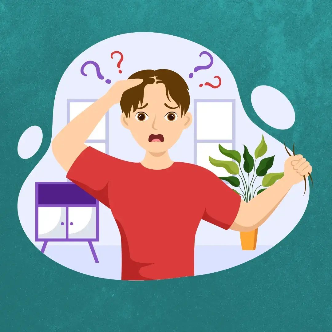 عيادة علاج هوس نتف الشعر